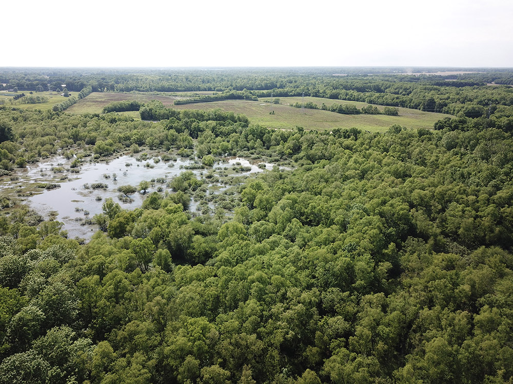 West Tennessee Wetland Mitigation Bank