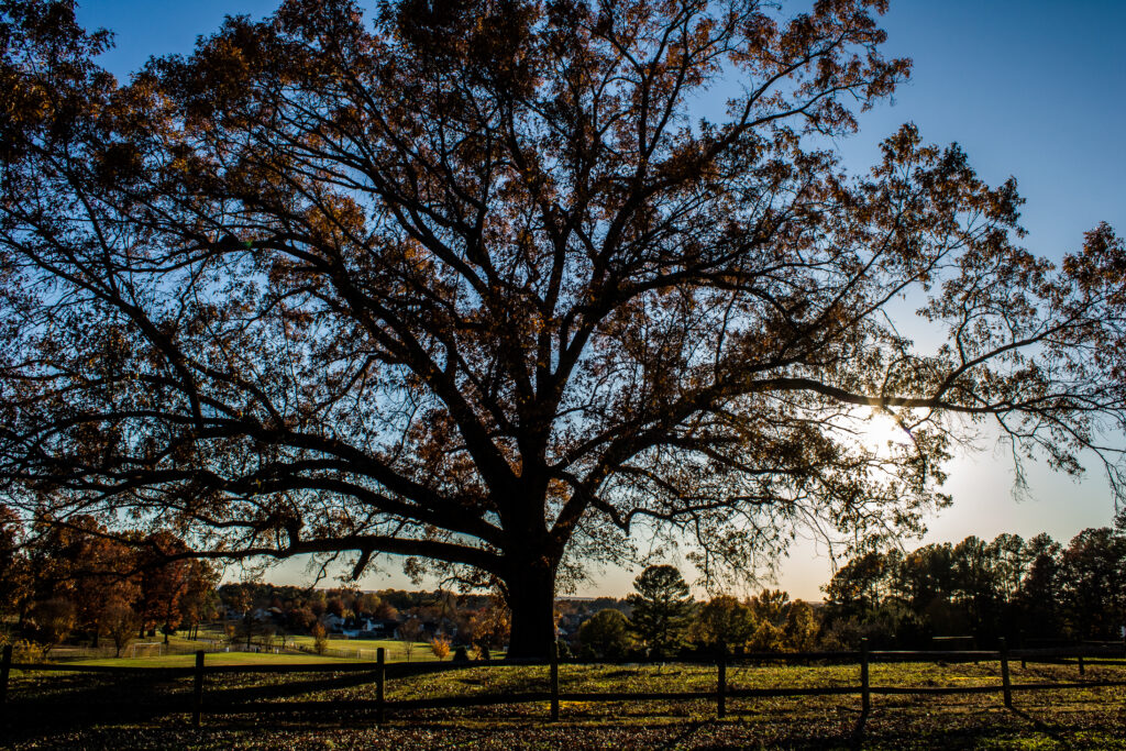 Madison Alabama