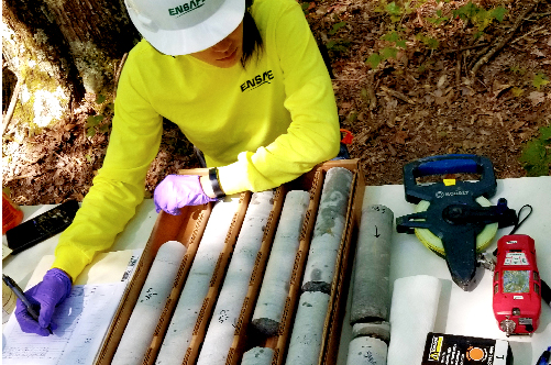 Site Assessment