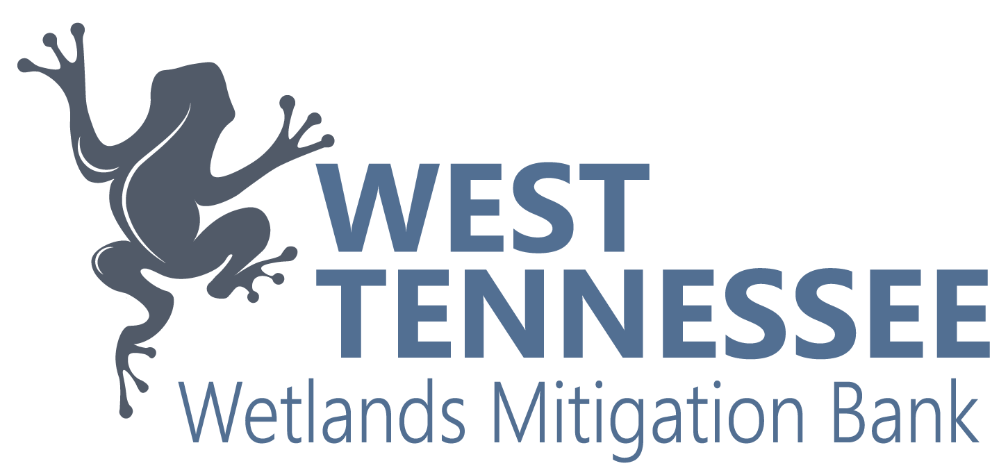 West TN Wetland Mitigation Bank EnSafe